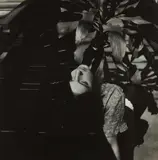 Francesca Woodman, Untitled (self-portrait with shadow and plant)
