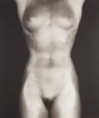 Lydia Cheng by Robert Mapplethorpe, 1985, Platinum palladium print, sold Oct 2021