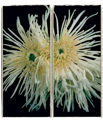 Chuck Close, Fuji Mum, 1988, Unique Polaroid print diptych