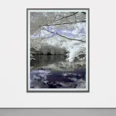 Thomas Ruff, jpeg li01, 2007, Chromogenic print, face-mounted to Plexiglas