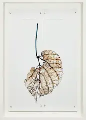 Black Pulse 6 by Doug Starn and Mike Starn, 2000-2005, Lambda chromogenic print, sold Oct 2021