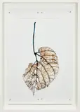 Doug Starn and Mike Starn, Black Pulse 6, 2000-2005, Lambda chromogenic print