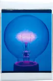 Amanda Means, Light Bulb 00032C, 2001, Unique Polaroid print