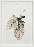Doug Starn and Mike Starn, Black Pulse 3, 2000-2011, Lambda chromogenic print