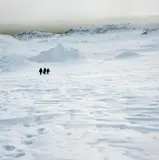Isaac Julien, True North Series, 2004, Inkjet print