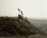 New Development on what was a Citrus Growing Estate, Highland, California by Robert Adams, 1985, Gelatin silver print, sold Oct 2021