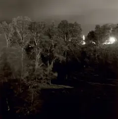 Untitled from Summer Nights by Robert Adams, circa 1981, Gelatin silver print, sold Oct 2021