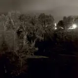 Robert Adams, Untitled from Summer Nights