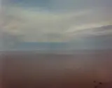 Richard Misrach, Salton Sea (Brown)