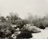 Santa Ana Wash, next to Norton Air Force Base, California by Robert Adams, 1978, Gelatin silver print, offered Oct 2021