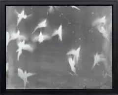 Untitled (From the series My Ghost) by Adam Fuss, 1999, Unique gelatin silver print photogram, sold Oct 2021
