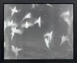 Untitled (From the series My Ghost) by Adam Fuss, 1999, Unique gelatin silver print photogram, sold Oct 2021