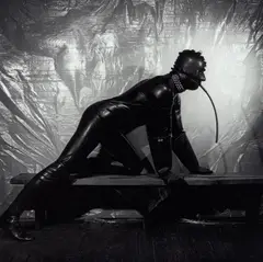 Joe, NYC by Robert Mapplethorpe, 1978, Gelatin silver print from the X Portfolio, sold Oct 2021