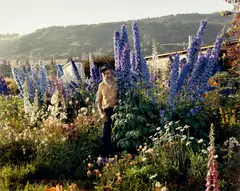 A Blind Man in His Garden, Homer, Alaska, July by Joel Sternfeld, 1984, Chromogenic print, printed 1996, offered Oct 2021