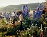 Joel Sternfeld, A Blind Man in His Garden, Homer, Alaska, July