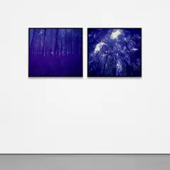 Canopy No. 5 by Susan Derges, 2000, Unique dye destruction print diptych, face-mounted to Plexiglas and flush-mounted, offered Oct 2021
