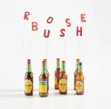 Sarah Lucas, Rose Bush