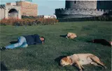 Rashid Johnson, Let Sleeping Dogs Lye