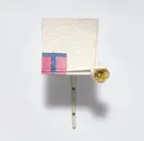 Richard Tuttle, Section I, Extension A, 2007, paper, acrylic, papier-mâché, hammered aluminum armature wire, graphite, hot glue, wood and screws