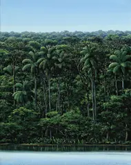 Tomás Sánchez, Orilla de La Manana (Morning Shore), 1994, acrylic on canvas