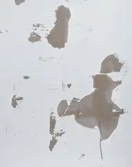 Secundino Hernández, Untitled, 2016, rabbit skin glue, chalk, calcium carbonate and titanium white paint on canvas