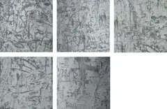 CARVINGS 1-5 by Sterling Ruby, 2006, chromogenic print, mounted, in 5 parts, offered Mar 2020