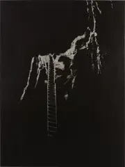 Slater Bradley, Down the Gully, 2009, oil and palladium leaf on linen