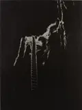 Slater Bradley, Down the Gully, 2009, oil and palladium leaf on linen