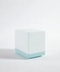 Parva XIII by Anne Truitt, acrylic on wood, sold Jul 2020