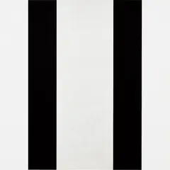 Mary Corse, Untitled (Black White Inner Band, Beveled), 2006, glass microspheres and acrylic on canvas
