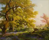 Daniel van der Putten, Bluebells in Fawsley Grounds, Northamptonshire, oil on board