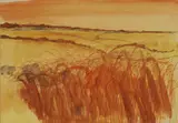 Robert Tavener, Harvest Field, watercolour