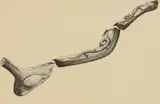 Keir Smith, A group of four untitled drawings, pen and ink