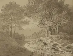 John White Abbott, Woodland, Chudleigh, Devon, pen and ink and wash