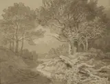 John White Abbott, Woodland, Chudleigh, Devon, pen and ink and wash