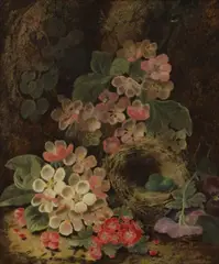 Oliver Clare, Still life of primulas and a bird's nest on a mossy bank, oil on canvas