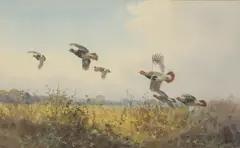 A covey of partridges by John Cyril Harrison, watercolour over pencil, sold May 2026