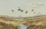 John Cyril Harrison, Grouse Turning Off (near Invershin), watercolour over pencil