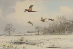 John Cyril Harrison, Pheasants in winter, watercolour over pencil