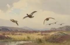 John Cyril Harrison, Grouse over the moor, watercolour over pencil