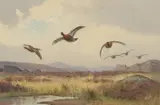 John Cyril Harrison, Grouse over the moor, watercolour over pencil