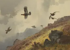John Cyril Harrison, Grouse in flight, watercolour