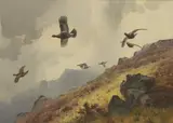 John Cyril Harrison, Grouse in flight, watercolour