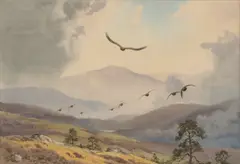 Grouse Driven by an Eagle by John Cyril Harrison, watercolour over pencil, sold May 2026