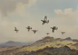 John Cyril Harrison, Grouse in flight, watercolour over pencil