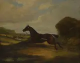 James Clark, A runaway horse following the hunt, oil on canvas laid down on board