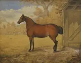 Joseph W Ludlow, A bay by a stall, watercolour