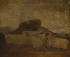 H G Walters, A group of five sheep, possibly Cotswolds crossed with Hampshire Downs, oil on canvas