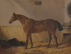 Edward Tolley, Sheraton' , a bay hunter in a stable, oil on canvas