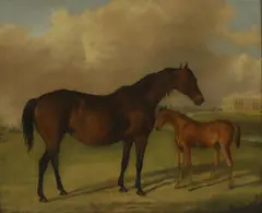 George Henry Laporte, A mare and foal in a landscape with a country house beyond, oil on canvas